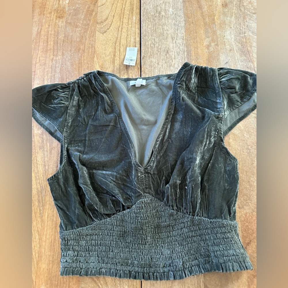 Aerie Crushed Velvet V-Neck Smocked Ruched Flutter Sleeve Crop Top Green S‎ NWT